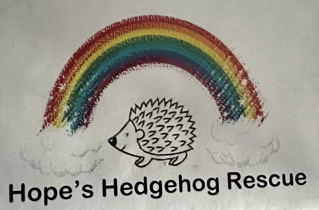 Hope Hedgehog Rescue Image